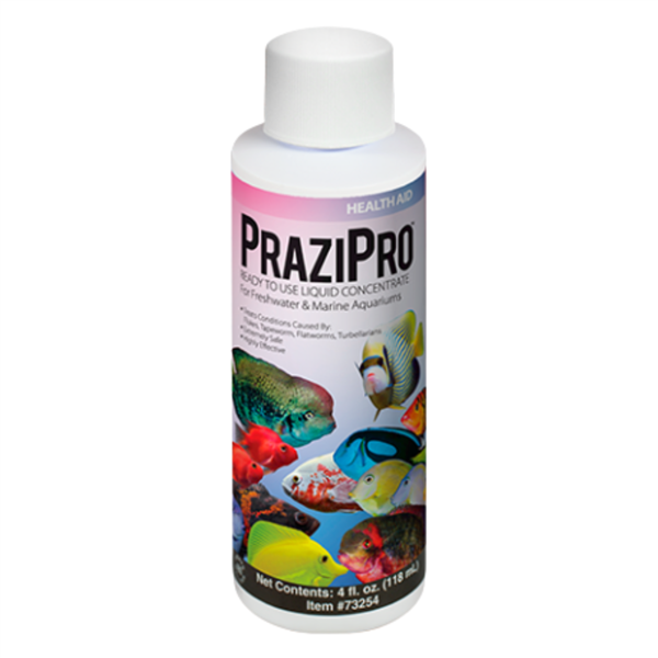 Hikari PraziPro ready-to-use liquid praziquantel parasite treatment, 4 oz bottle